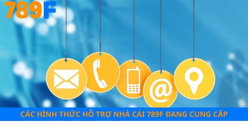 Các hình thức hỗ trợ nhà cái 789F đang cung cấp