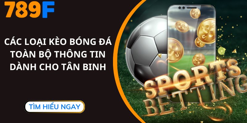 Các Loại Kèo Bóng Đá - Toàn Bộ Thông Tin Dành Cho Tân Binh