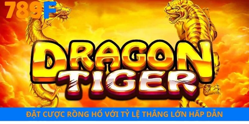 Đặt cược rồng hổ với tỷ lệ thắng lớn hấp dẫn