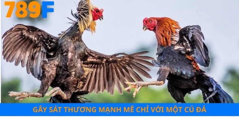 Gây sát thương mạnh mẽ chỉ với một cú đá