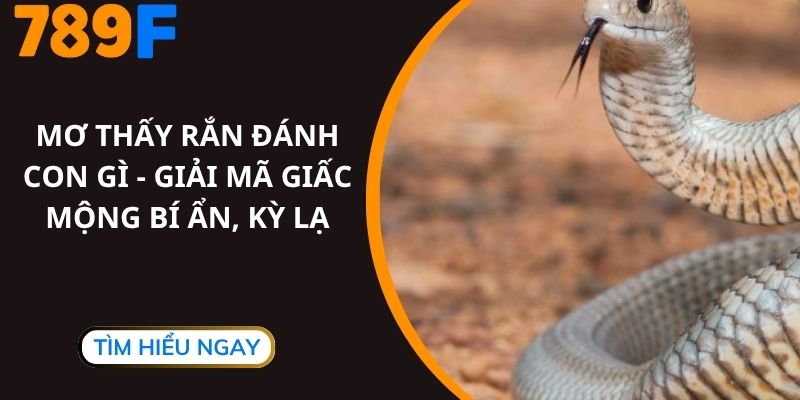 Mơ Thấy Rắn Đánh Con Gì - Giải Mã Giấc Mộng Bí Ẩn, Kỳ Lạ