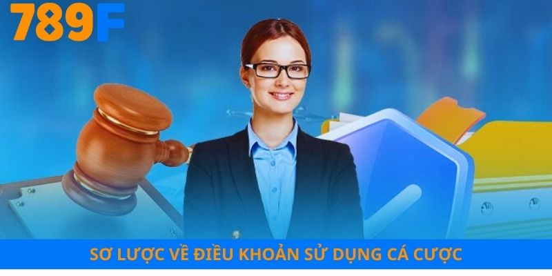 Sơ lược về điều khoản sử dụng cá cược