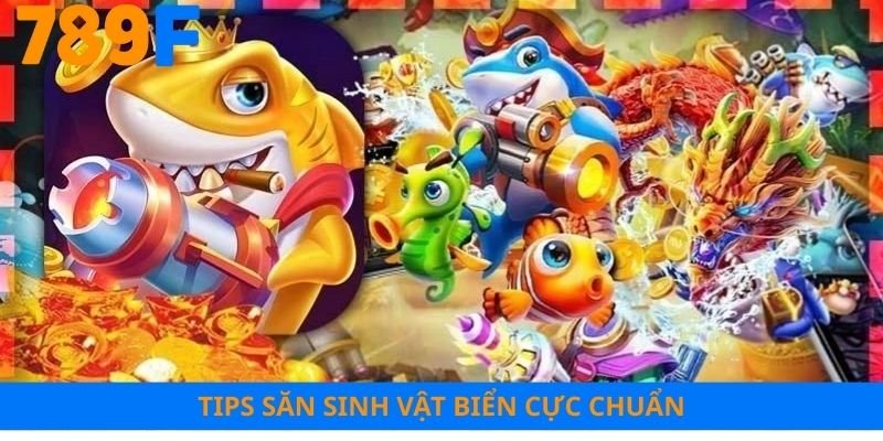 Tips săn sinh vật biển cực chuẩn
